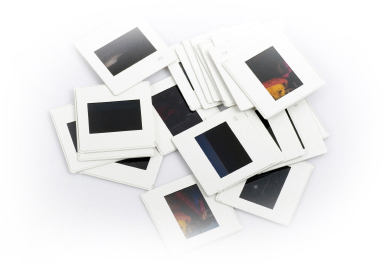 digitize slides